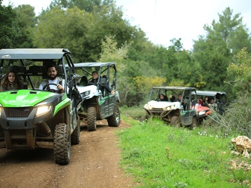 טרקטורוני נוף הורדים